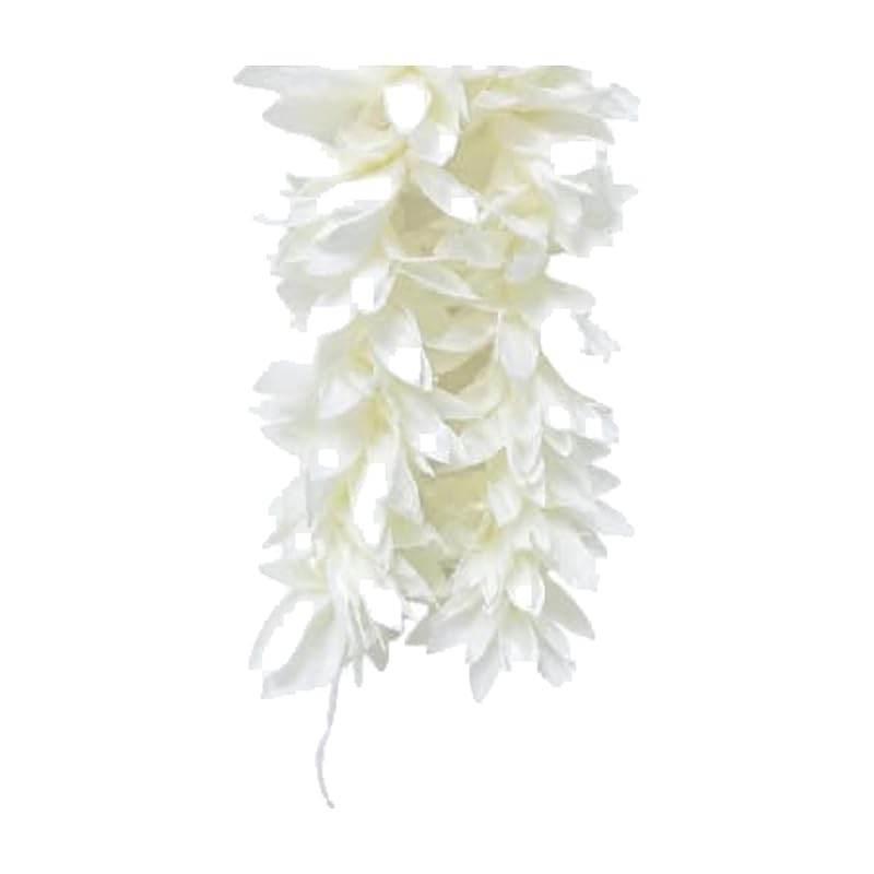 Long White Jasmine Gajra for Braid (Pack of 2) by Atreya